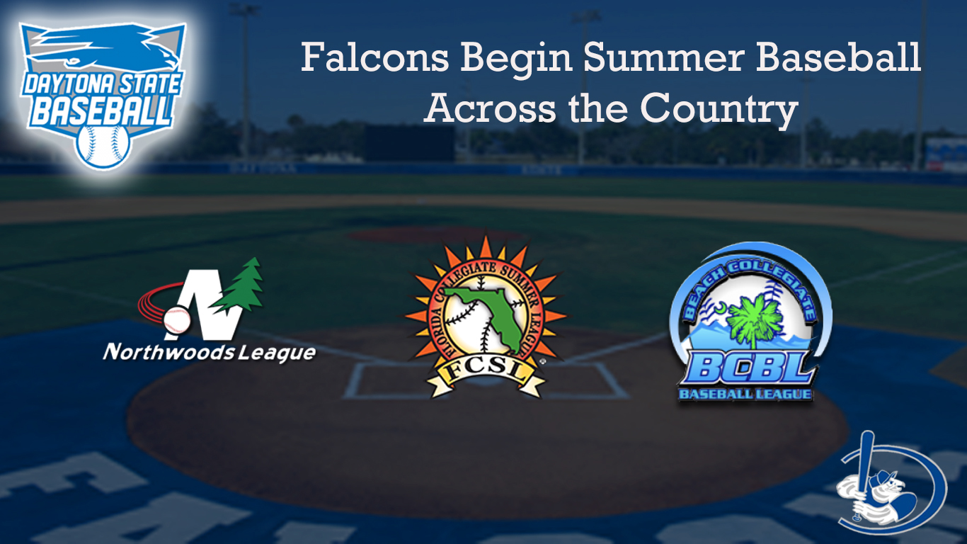Falcon Players Compete in Summer Baseball