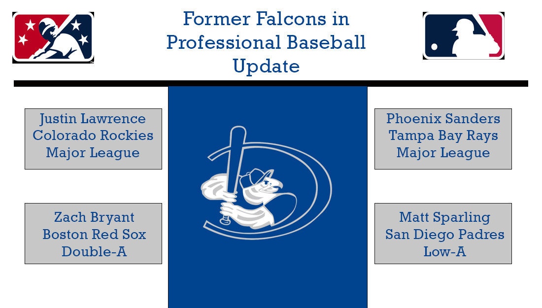 Update on Former Falcons in Professional Baseball