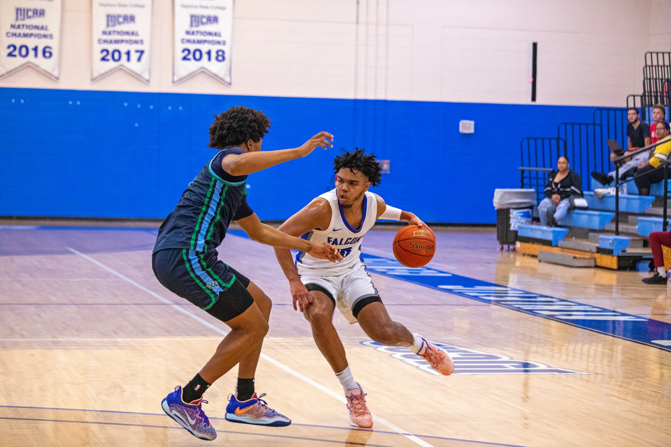Daytona State College Extends Win Streak to 12 After Clinching Conference Championship