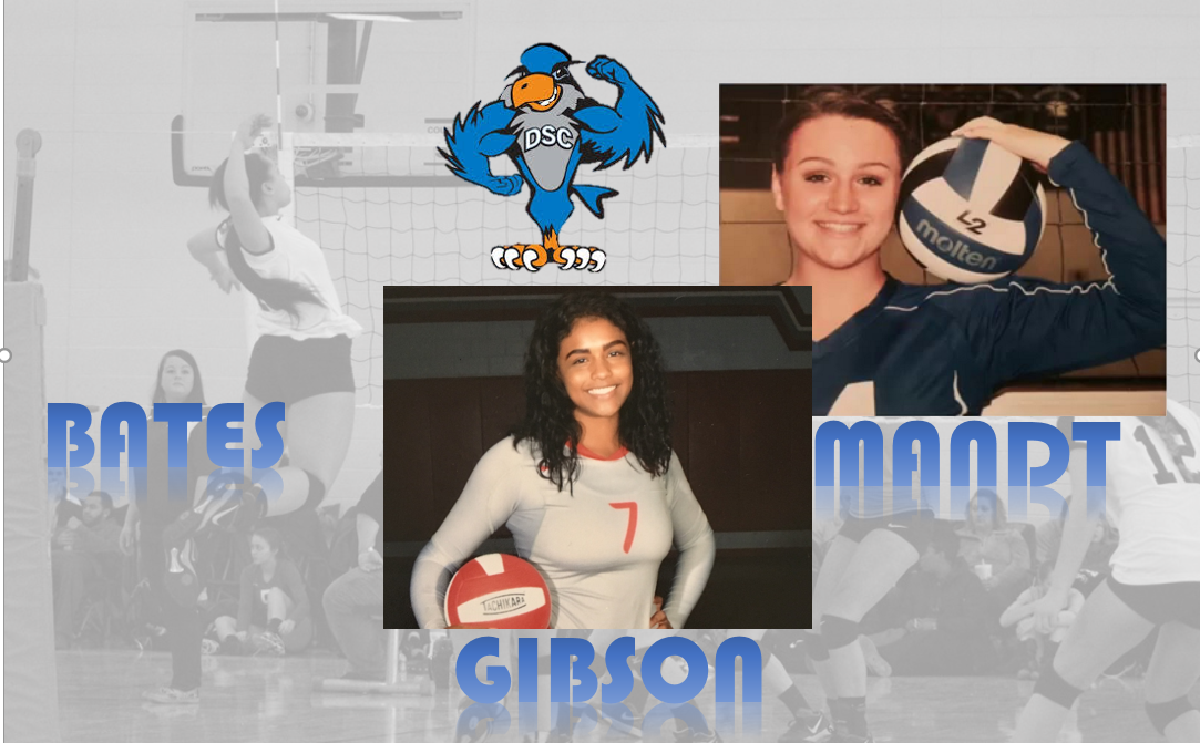 Lady Falcons Commit Three Newcomers for 2017